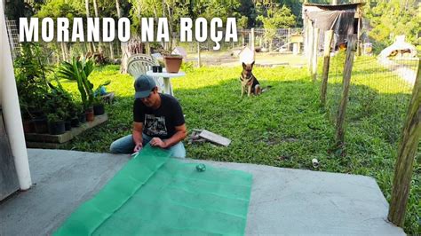 ROTINA MORANDO NA ROÇA MUITO TRABALHO AQUI NO SÍTIO YouTube