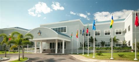 News Releases | Marketing and Communications Office, The University of West Indies at Mona