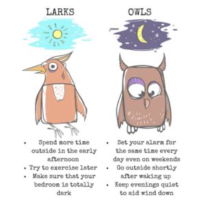 What Sleep Patterns and Positions Say About You | Sleep Centers of Middle Tennessee