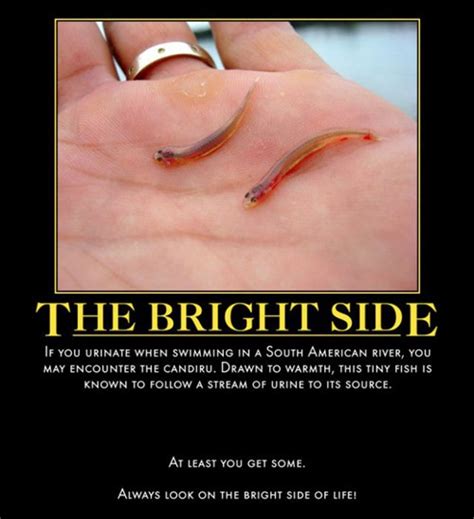 Always Look on the Bright Side of Life - Very Demotivational - Demotivational Posters | Very ...