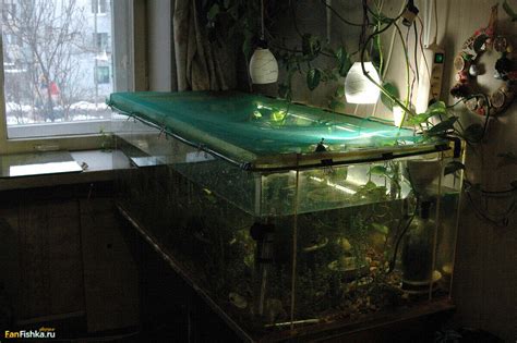 Освещение для аквариума 100л - Аквариумное освещение: отзывы ...