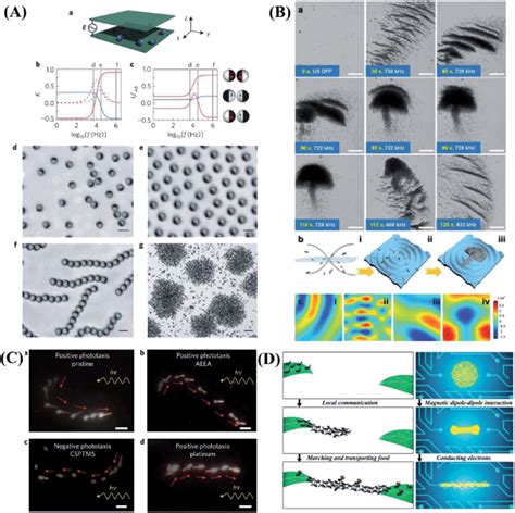 The Collective Behaviors Of Micro Nanomotors A The Collective Active