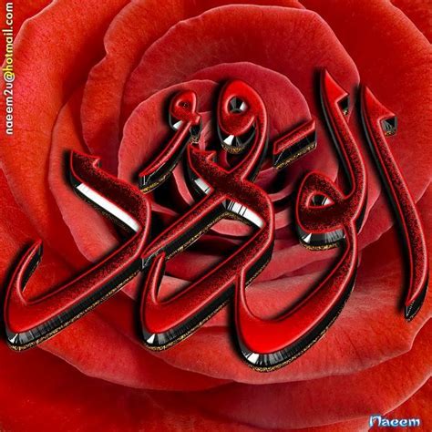 Pin De Khaled Bahnasawy En Beautiful Names Of Allah