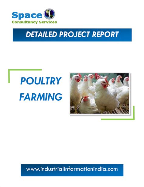 Poultry Farming Project Report Space Consultancy Services