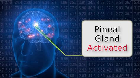 Pineal Gland VIBRATES Causing EUPHORIA At 40 Secs 4D Bilateral