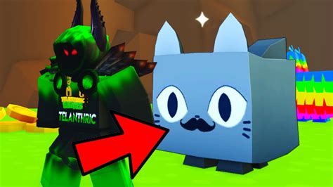 NEW Huge Exquisite Cat Pet Simulator X YouTube