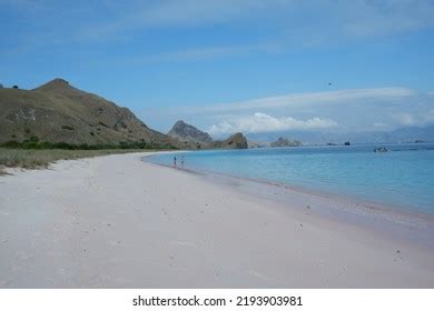 You Can Find Pink Beach Indonesia Stock Photo 2193903981 | Shutterstock