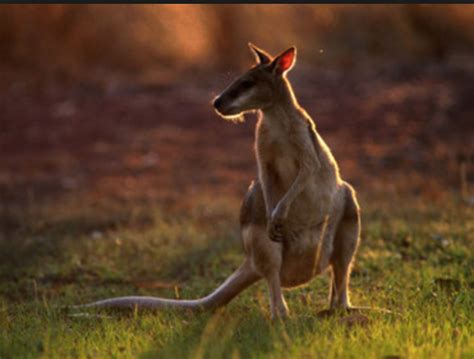 Kakadu National park - Diverse Australia