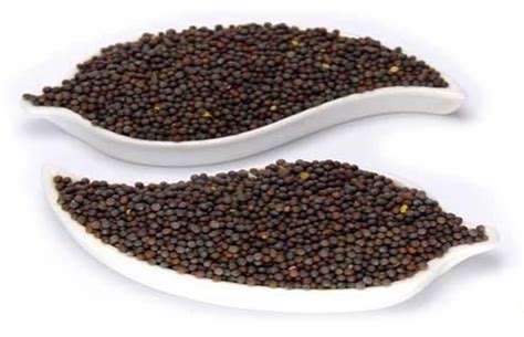 Black Mustard Seeds, For Cooking, Shelf Life : 12 Months at Best Price ...