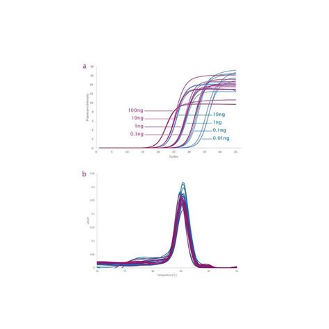 QPCRBIO SyGreen 1 Step Detect Hi ROX Biologika