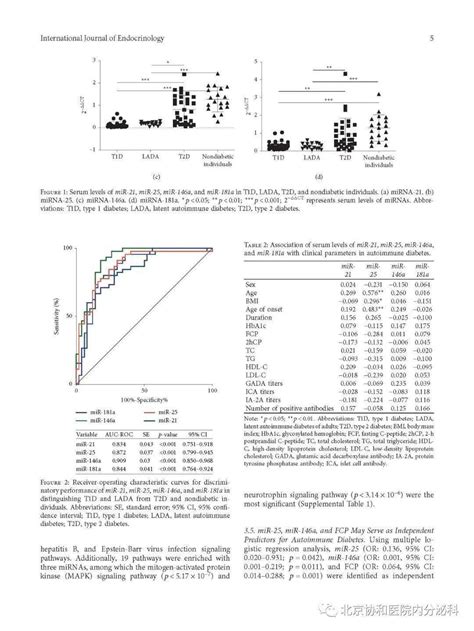 协和内分泌论文撷英 血清mirna 21、25、146a及181a可作为自身免疫性糖尿病潜在的诊断标志物及致病机制的调控因素研究