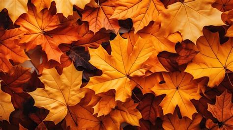 Premium Photo | Fall leaves background with orange colorful leaves ...