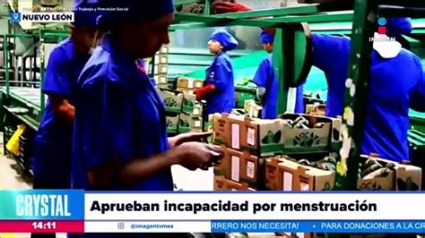 Aprueban incapacidad laboral por menstruación en Nuevo León Vídeo