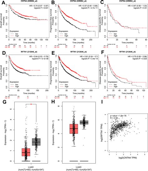 Prognostic Values Of Two Core Genes For Luad Os A Pfs B And Dss Download Scientific