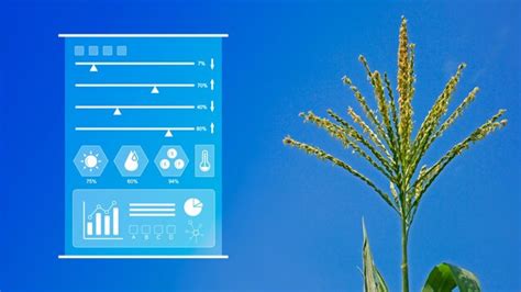 Infográficos Agricultura Inteligente E Agricultura De Precisão Com Iot