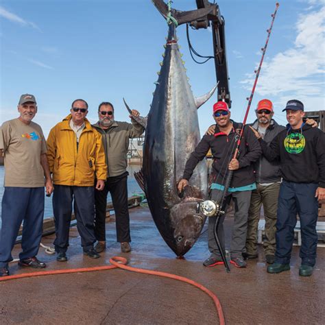 Take A Deep Dive Into The Iconic Pei Sport Fishery Atlantic