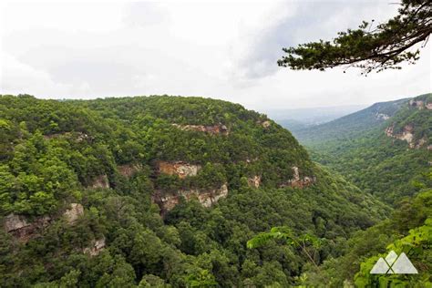 Hiking Trails in Georgia