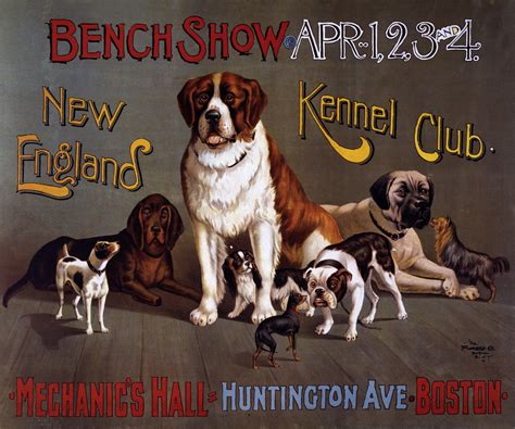 dog show vintage poster  stock photo public domain pictures