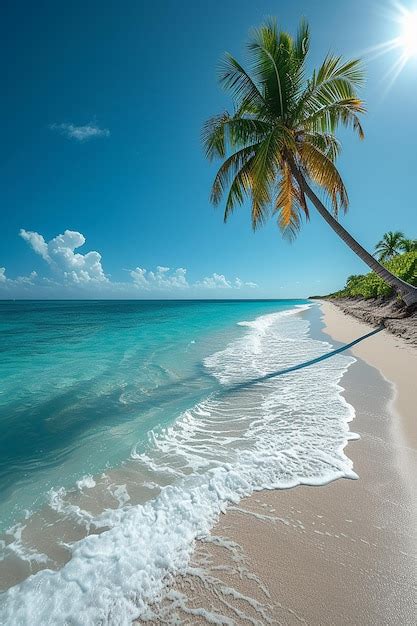 Premium Photo Beautiful Tropical Beach With Coconut Trees