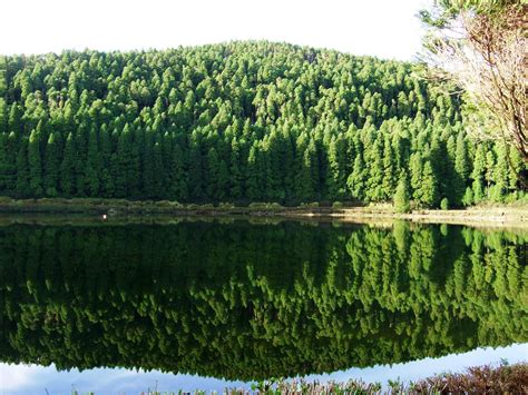 Amazing Tours (2026) - All You Need to Know BEFORE You Go (with Reviews)