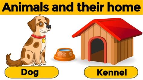 Animals And Their Homes Animals Home Home Of Animals Animal Homes