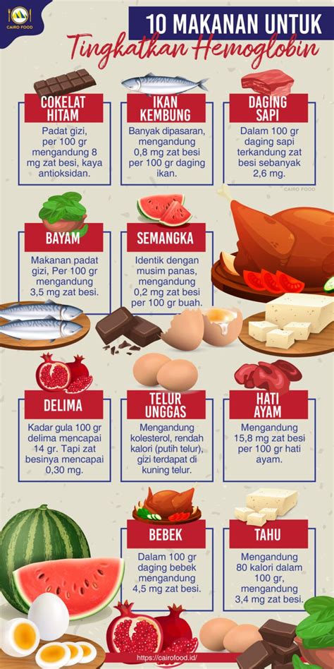 Makanan Untuk Meningkatkan Hemoglobin Cairo Food