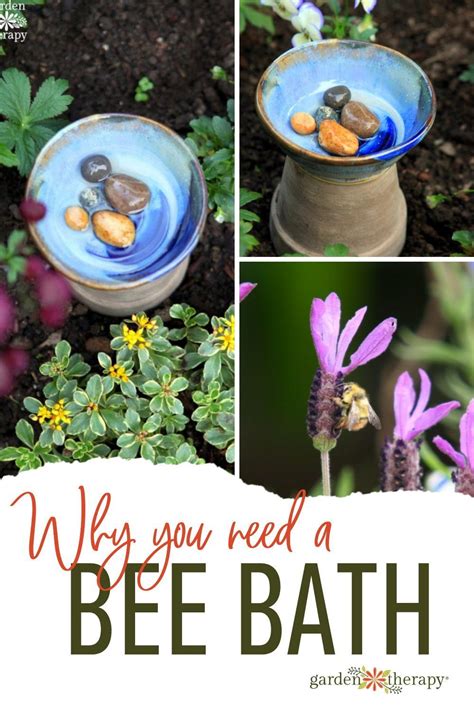 A bee bath is a simple bee water feeder that is easy to make for your ...