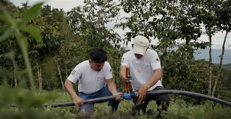 Empresas Impulsan Una Gestión Sostenible Del Agro Y Reaprovechamiento