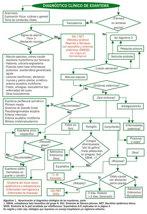 Exantemas Manuales Clínicos