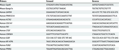 Mouse And Human Primer Sequences For Quantitative Pcr Analysis