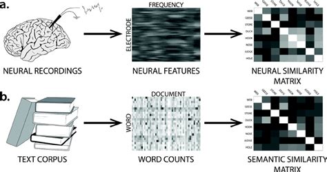 Constructing similarity matrices | Download Scientific Diagram