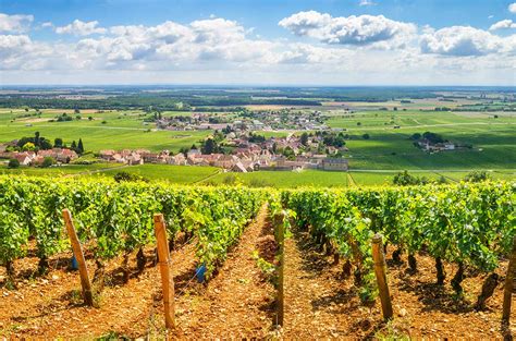 La Francia Del Vino Alle Prese Con La Crisi A Bordeaux E In Champagne