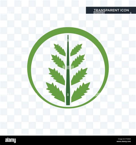 Fern Vector Icon Isolated On Transparent Background Fern Logo Concept