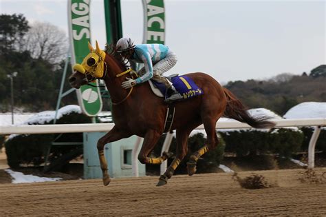 【佐賀】農林水産大臣賞典 第45回 佐賀記念jpniii 優勝馬はルールソヴァール号！お知らせandニュース楽天競馬