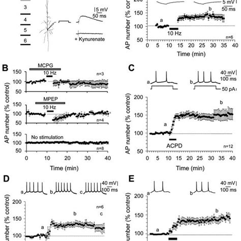 Ltp Ie Induced By Mglur Activation Is Associated With A Reduction Of