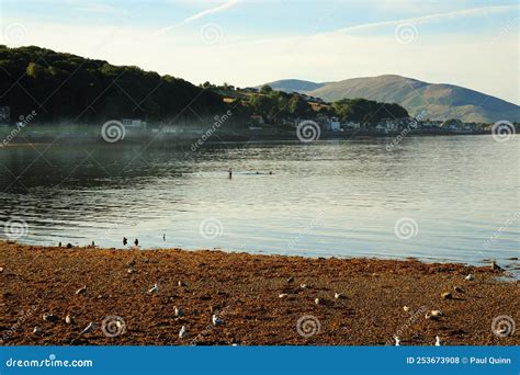 Rothesay Bay stock photo. Image of town, water, shore - 253673908