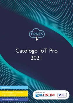 Catologo Iot Pro Sicurezza Monitoraggio Controllo E Altre