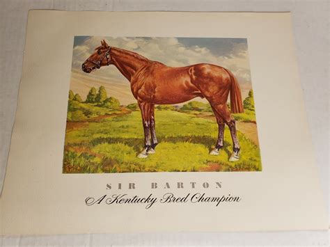 Sir Barton | Thoroughbred racehorse, Thoroughbred horse, Kentucky derby