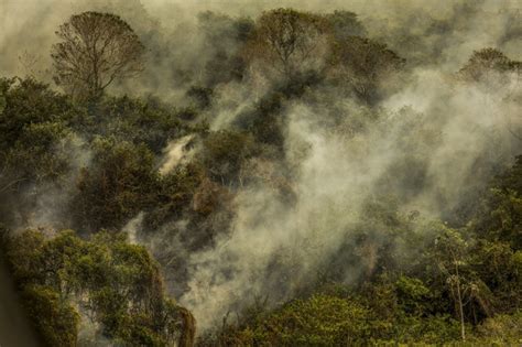 Subcomiss O Do Pantanal No Senado Far Visita Ao Mato Grosso Para