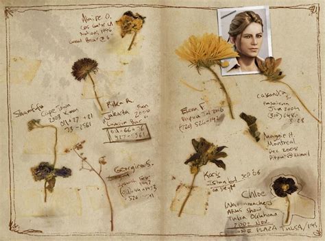 Nathan Drake S Journal Uncharted Guh He S Such A Shameless Romantic