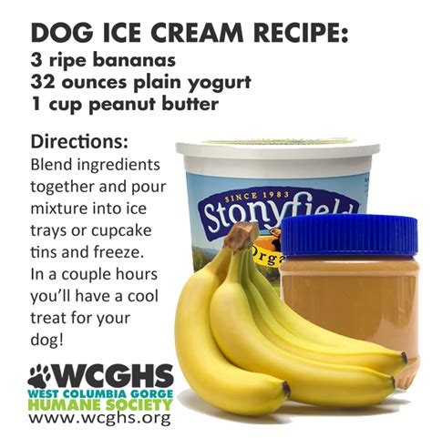 Dog Ice Cream Dog Ice Cream Recipe Dog Ice Cream Homemade Dog Food