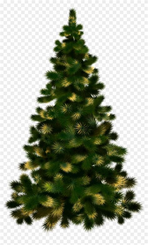 Christmas Tree Without Lights - Christmas Tree Vector No Background, HD ...