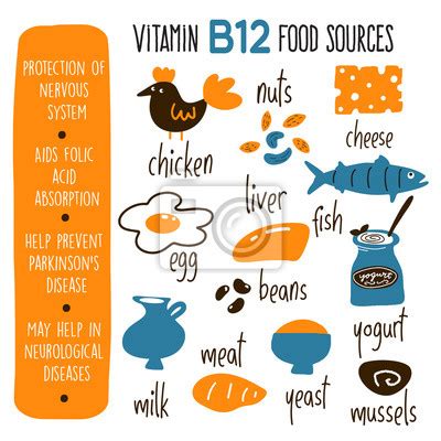 Vitamin B Complex Food Sources Vector Cartoon Illustration