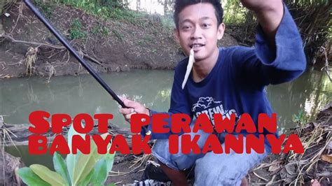 Spot Mancing Air Tawar Di Semarang Materi Belajar Online