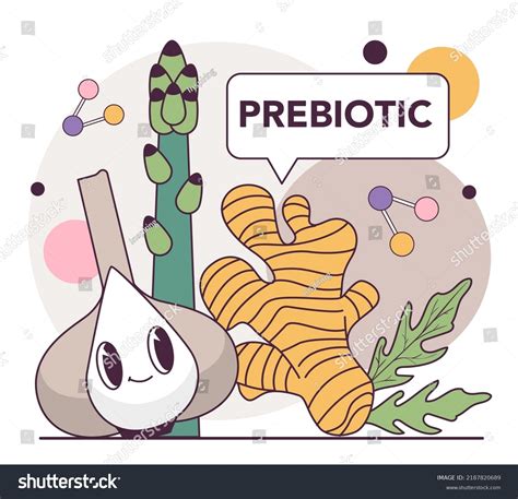 Prebiotic Products Healthy Food Source Good Stock Vector Royalty Free