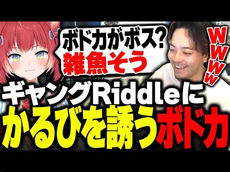 【スト鯖gta】新設したギャング「riddle」に、警察の赤見かるびを誘うボドカ【スタンミ赤見かるびありけんボドカ】 ボドカ