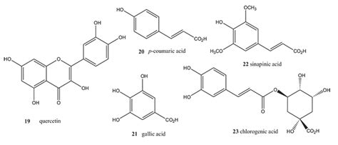 Chemical Constituents And Uses Of Calotropis Procera And Calotropis