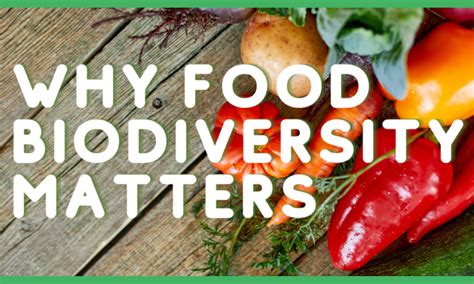 Why Food Biodiversity Matters Youth In Food Systems