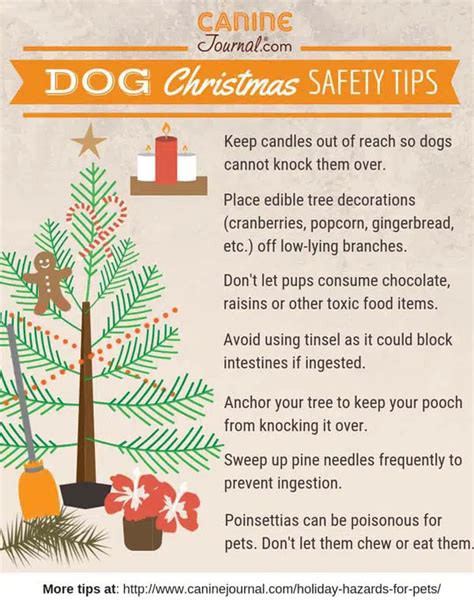 4 Holiday Pet Hazards And Tips To Avoid Them Canine Journal