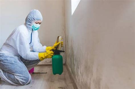 A Complete Guide to Preventing, Identifying, and Removing Mold | HVAC.com